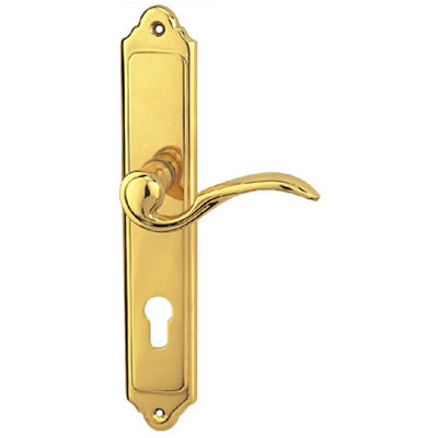 Brass Handle with Plate
